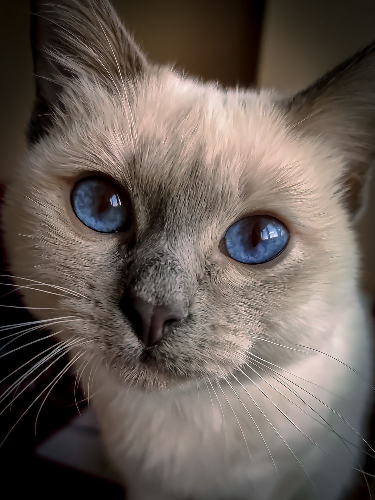 Photograph by Елена Башмакова