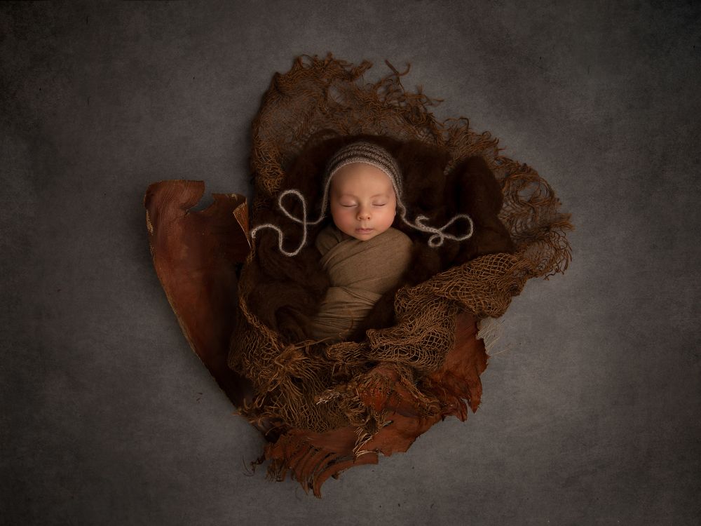 Фотография автора Anita Maggiani