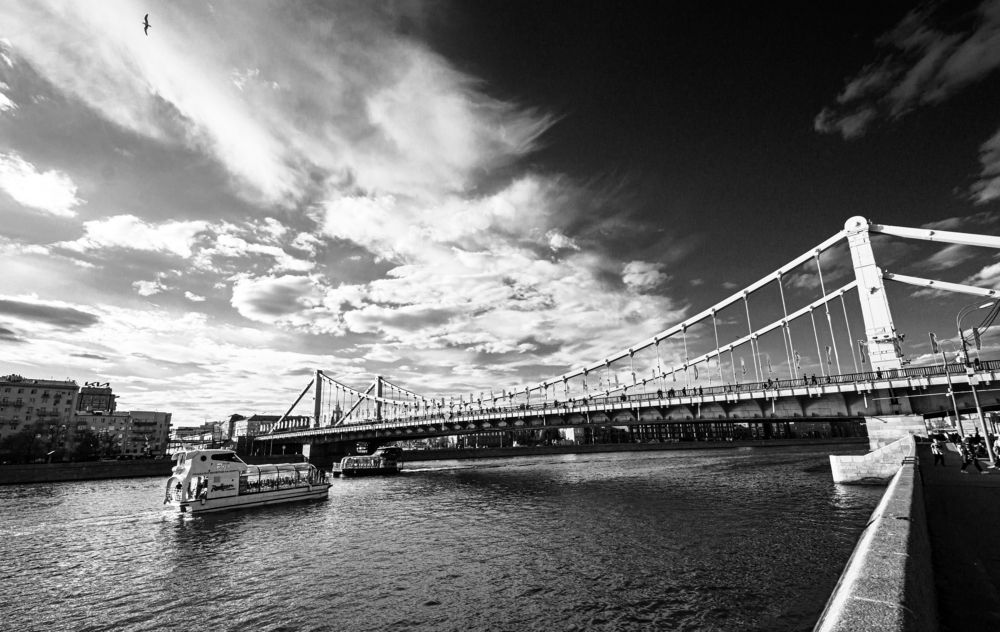 Роза на воде