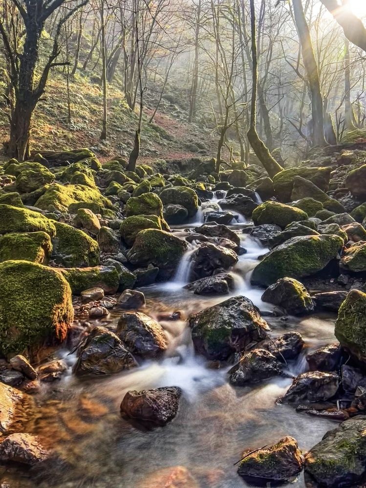 Photograph by roya razaghi