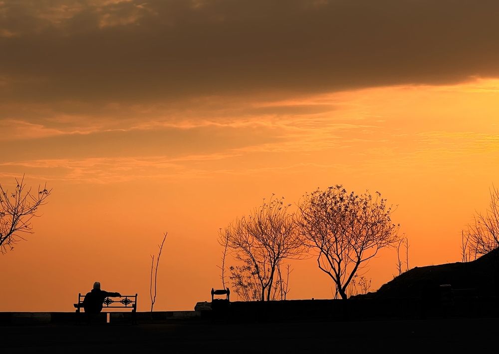 Photograph by roya razaghi