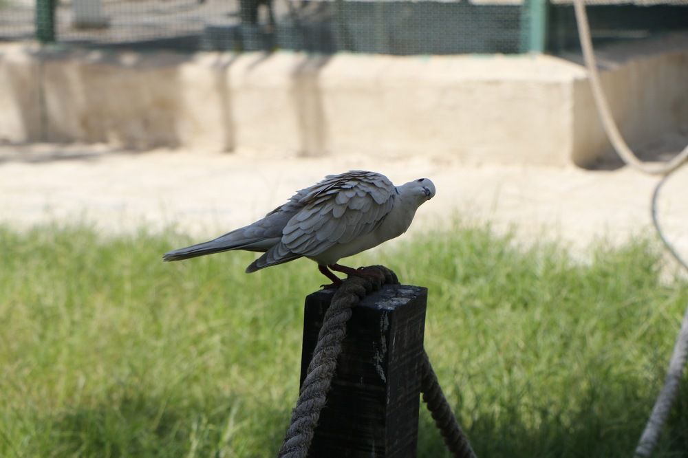 Photograph by Mohammad Ali Ataei Daryaei