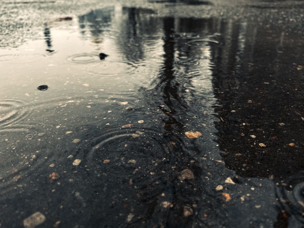 Photograph by Владимир Гвозд