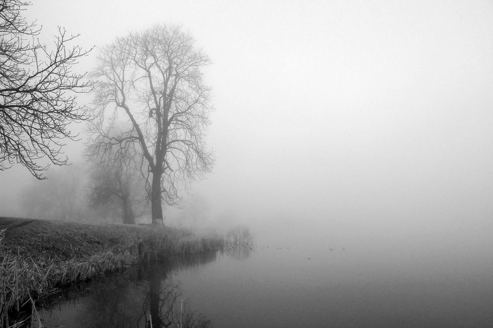 Photograph by Дмитрий Сырбу