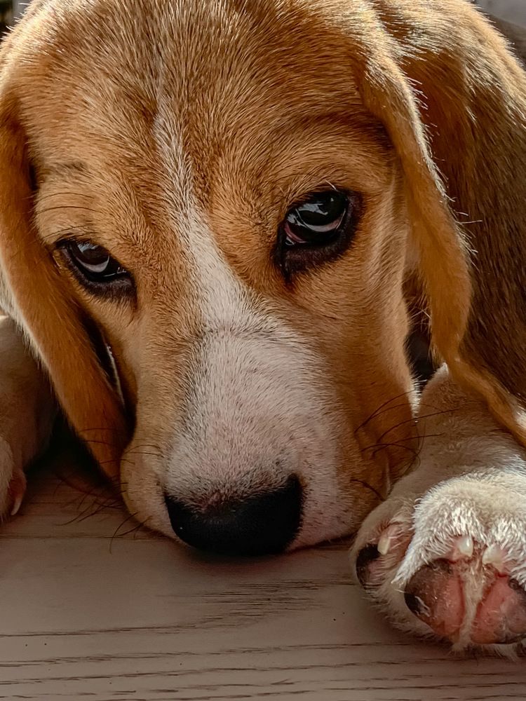 Photograph by Хавронина Марина