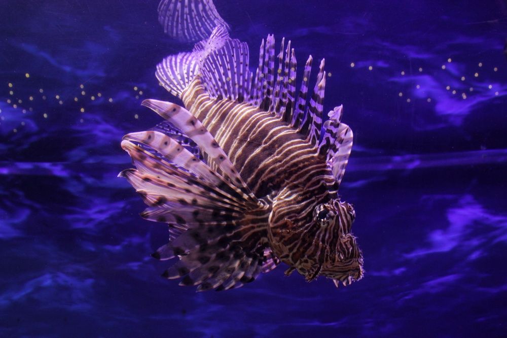 Photograph by Витольда Осина