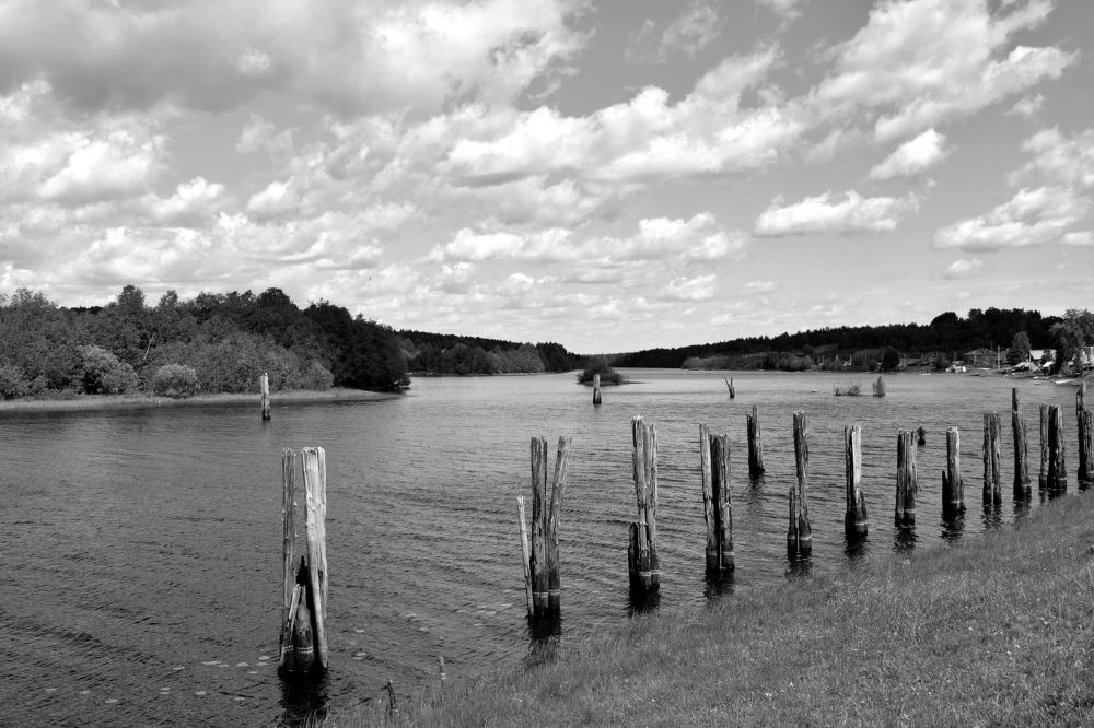 Фотография автора Оксана Льдинина