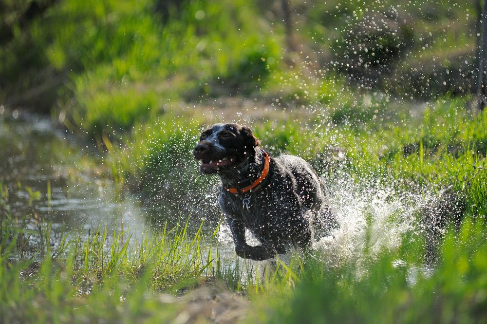 Photograph by Михаил Кинеев