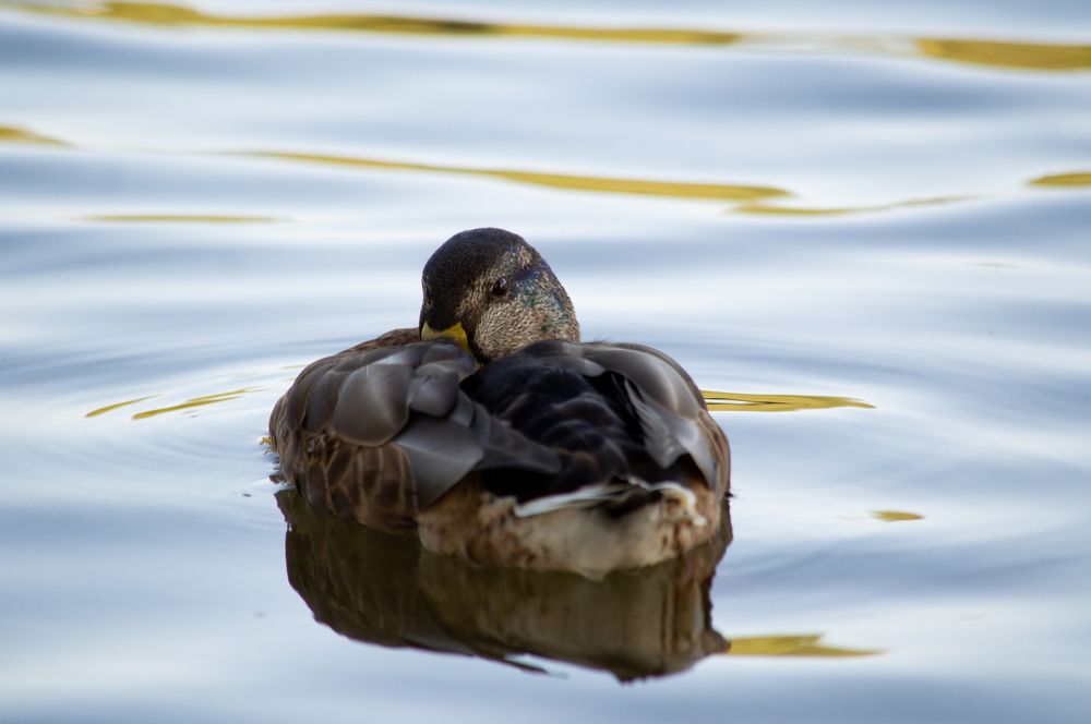 Photograph by Юлия Митюрникова