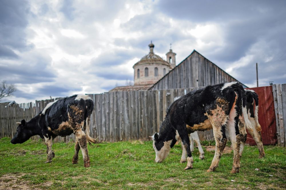 Photograph by Михаил Кинеев