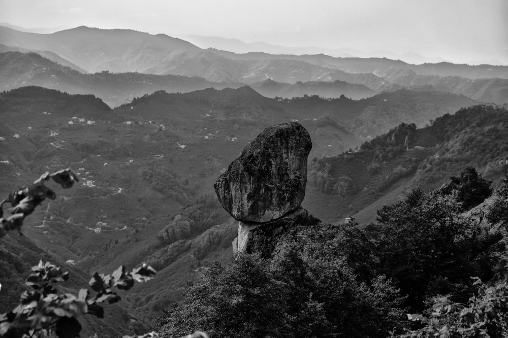 Photograph by Muzaffer Sütlüoğlu