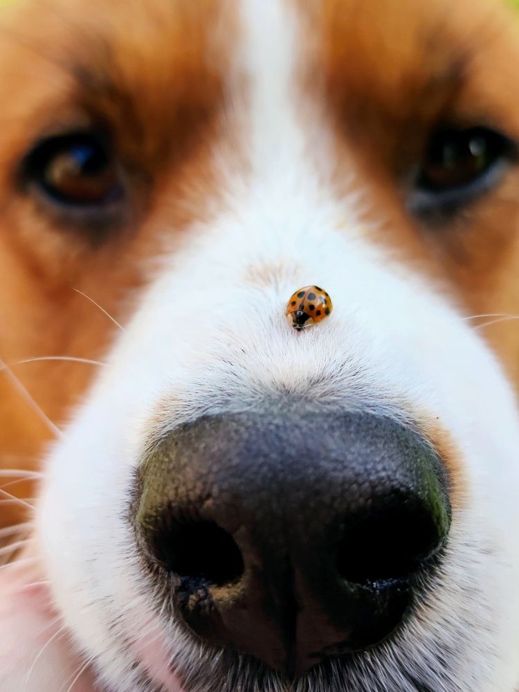 Photograph by Инна Макарчук