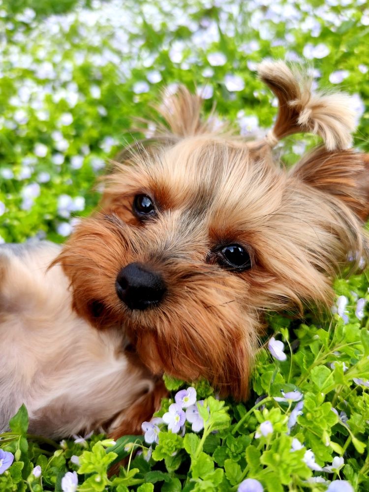 Photograph by Инна Макарчук