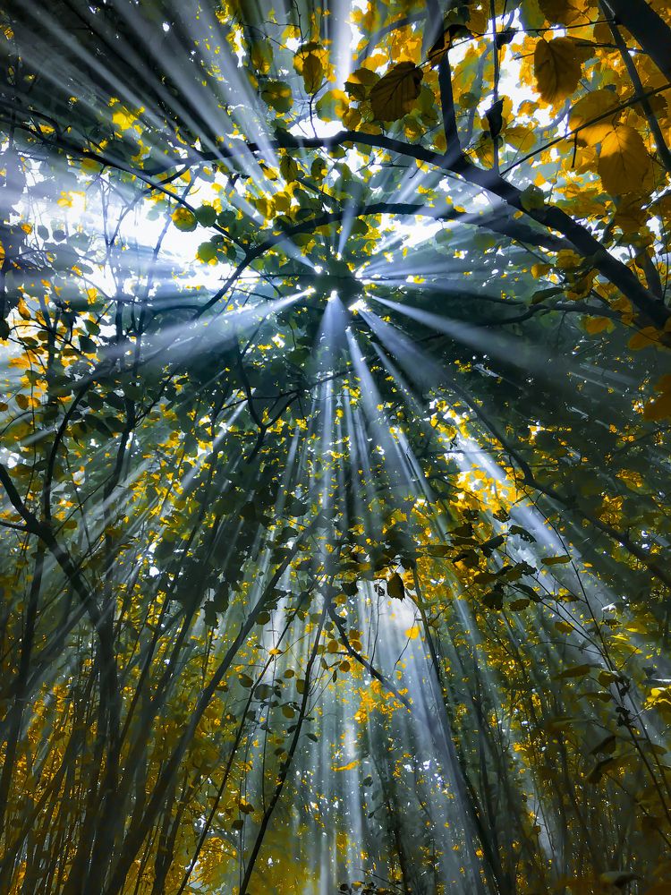 Photograph by Джамалов Руслан