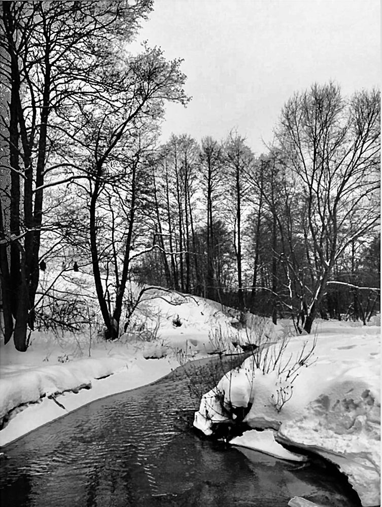 Графика зимы