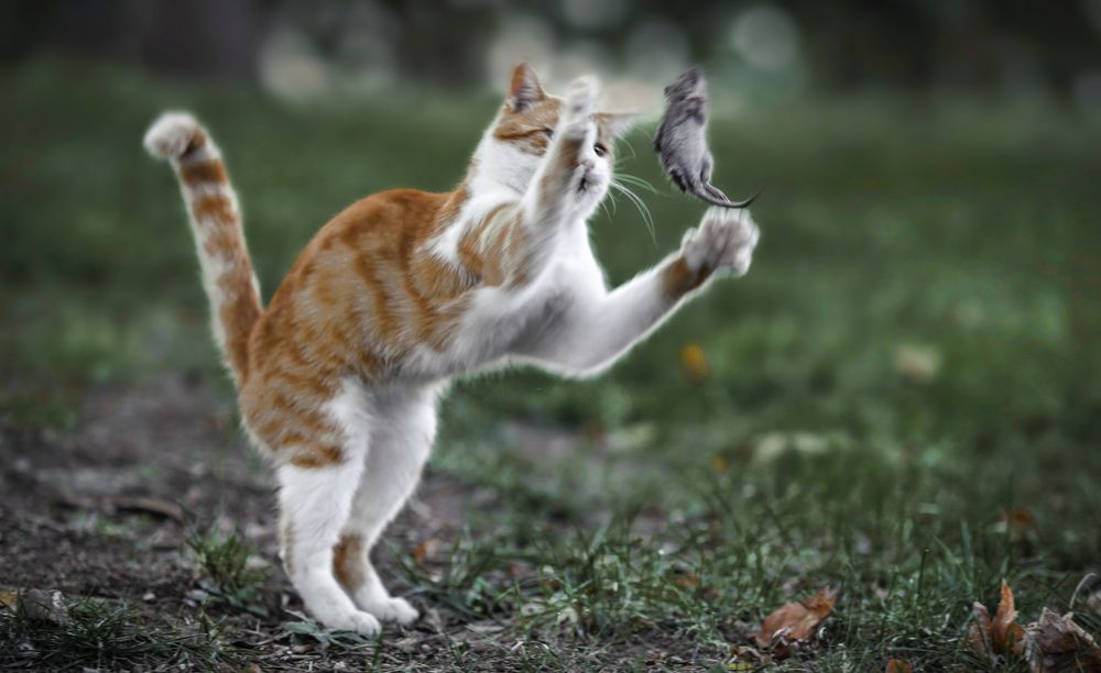 Photograph by Джамалов Руслан