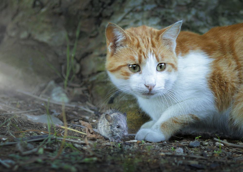 Photograph by Джамалов Руслан
