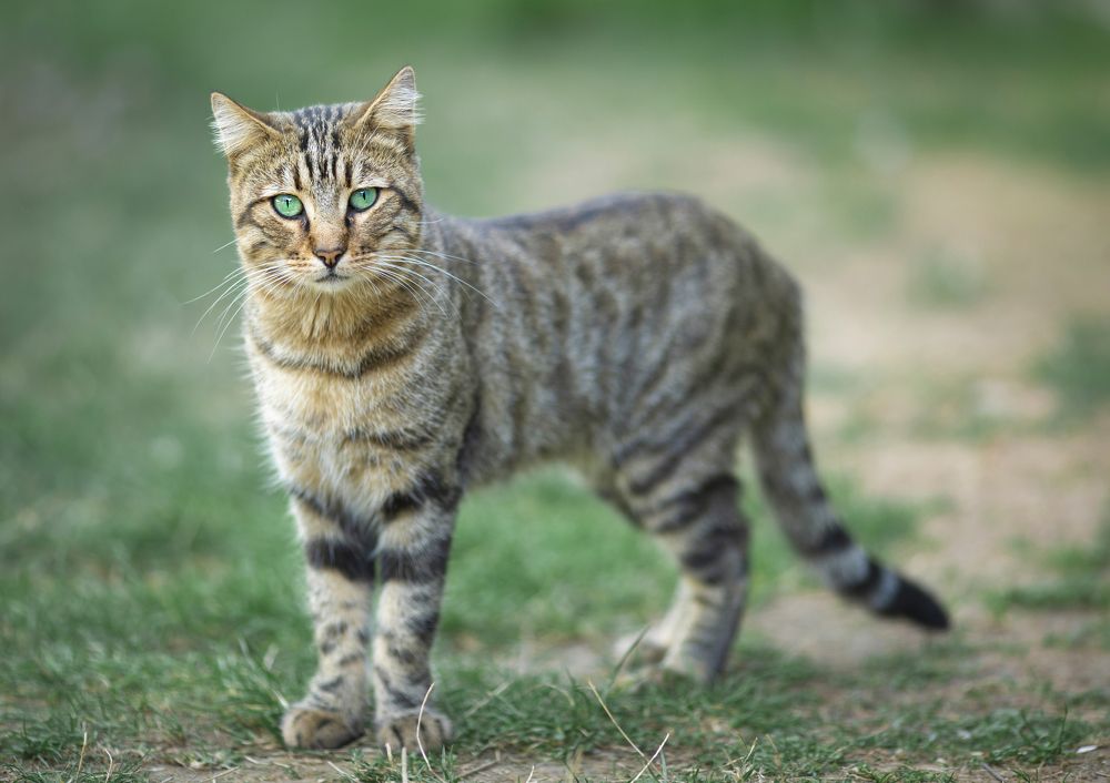 Photograph by Джамалов Руслан