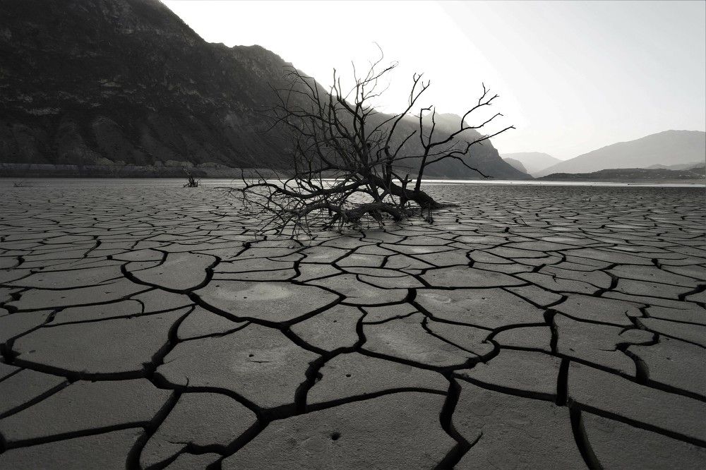 Photograph by Ольга Максимушкина