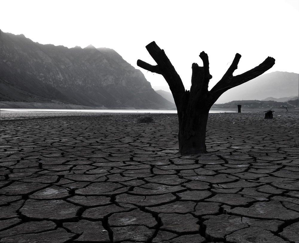 Photograph by Ольга Максимушкина