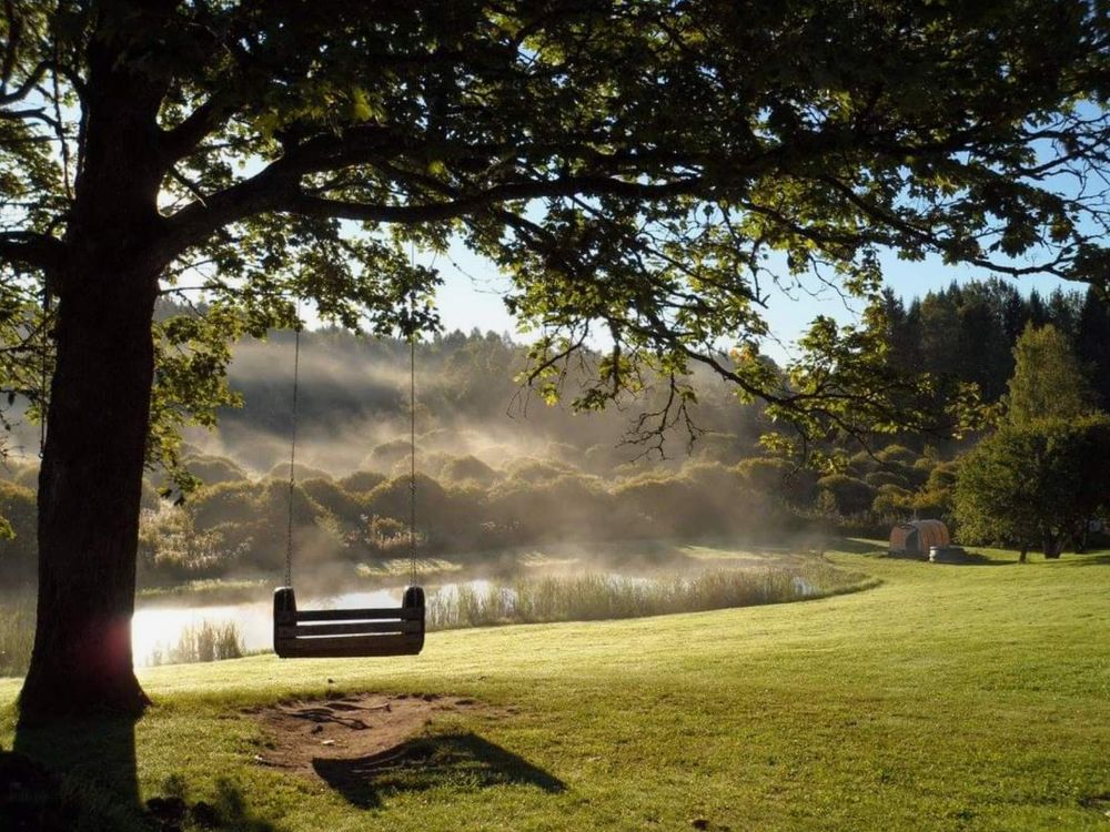 Photograph by Elena Tamošauskaitė