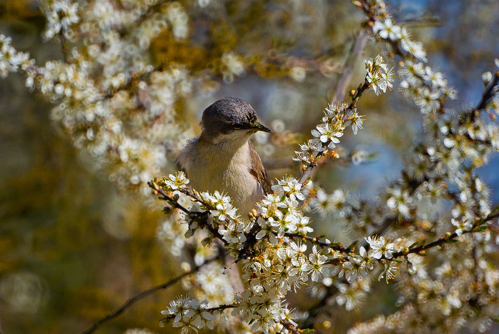 Photograph by Виктория Уварова