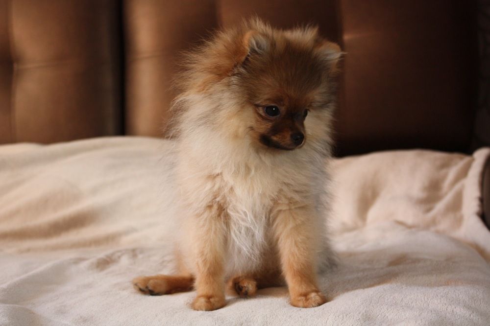 Photograph by Анна Фролова