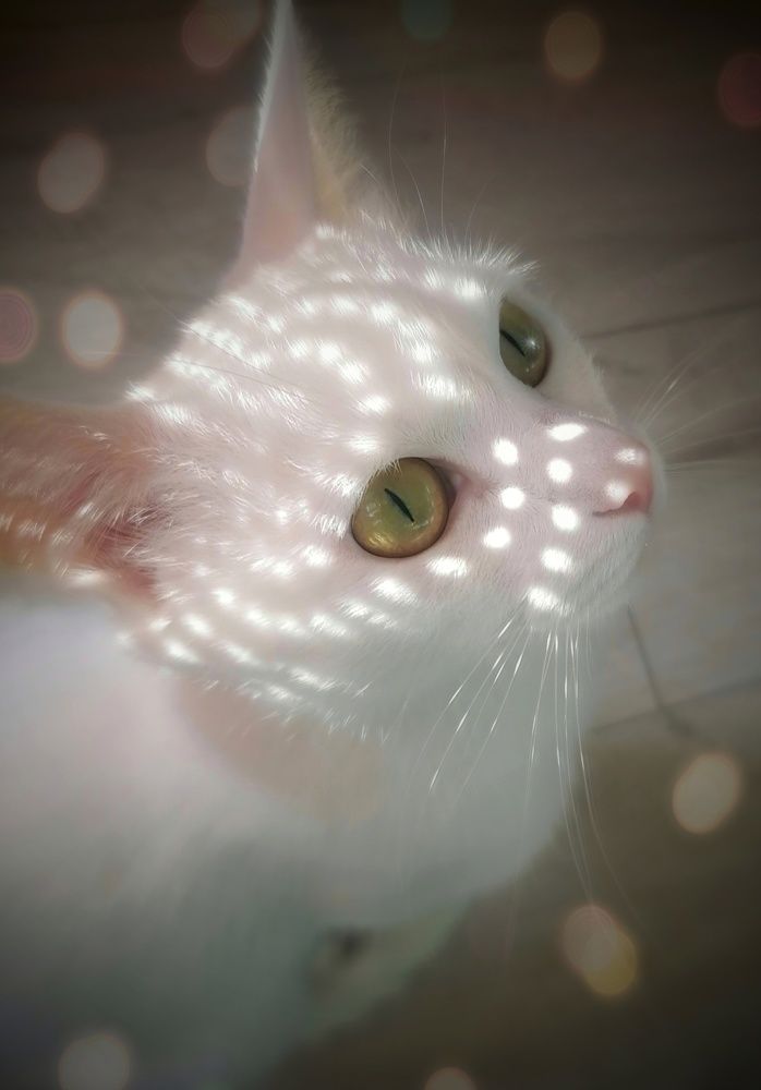 Photograph by Светлана Шелухеева