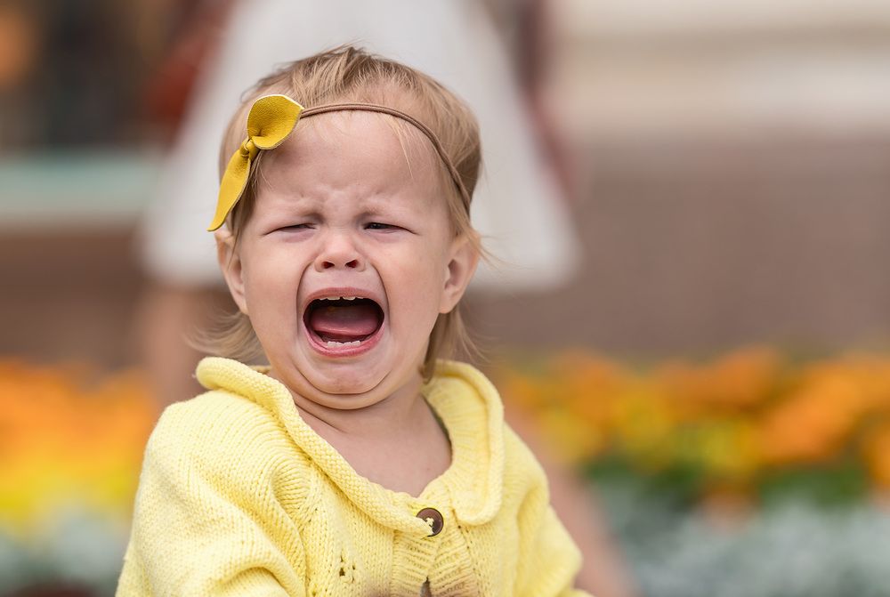 Photograph by Олег Милеев (Каминцев)