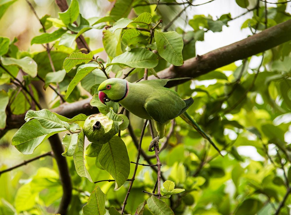 Photograph by Pon Malar