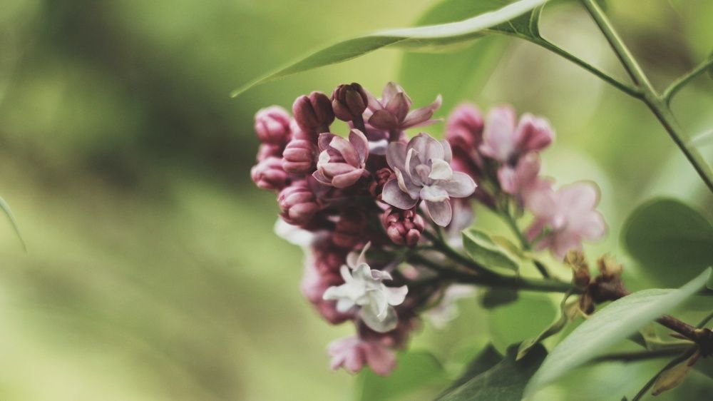 Photograph by Алёна Бондаренко