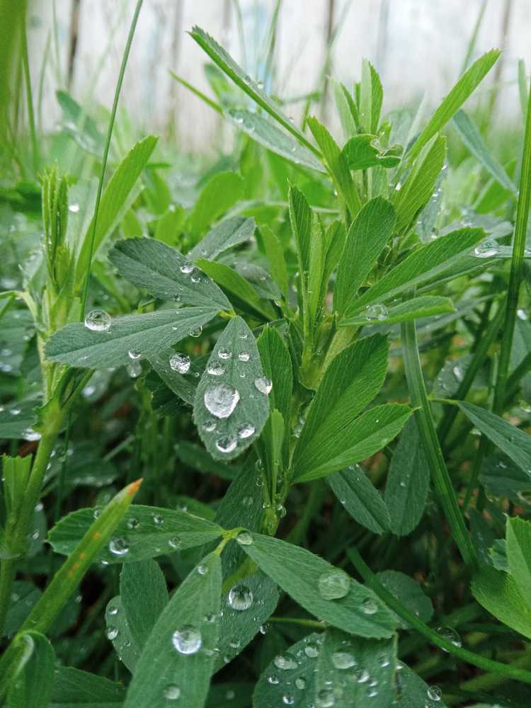 Фотография автора Галина Бисенкулова