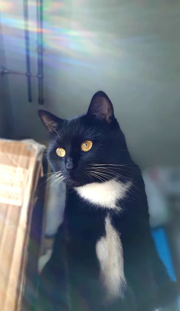 Фотография автора Maria V. Gorskaya