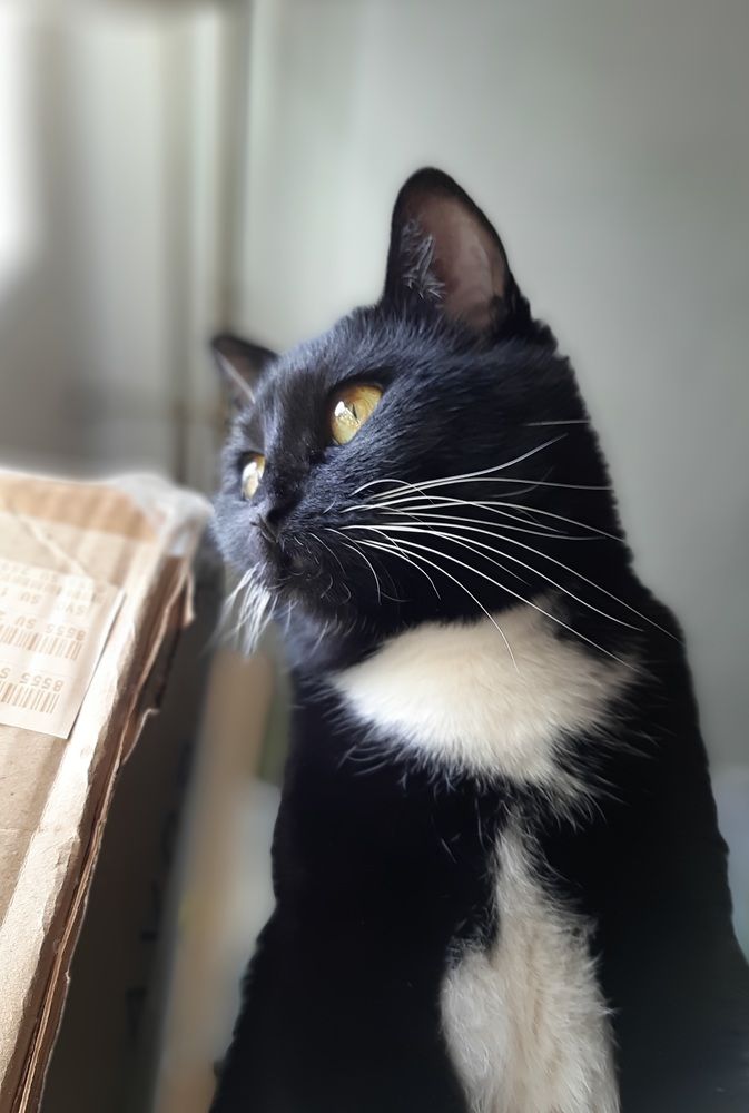 Фотография автора Maria V. Gorskaya