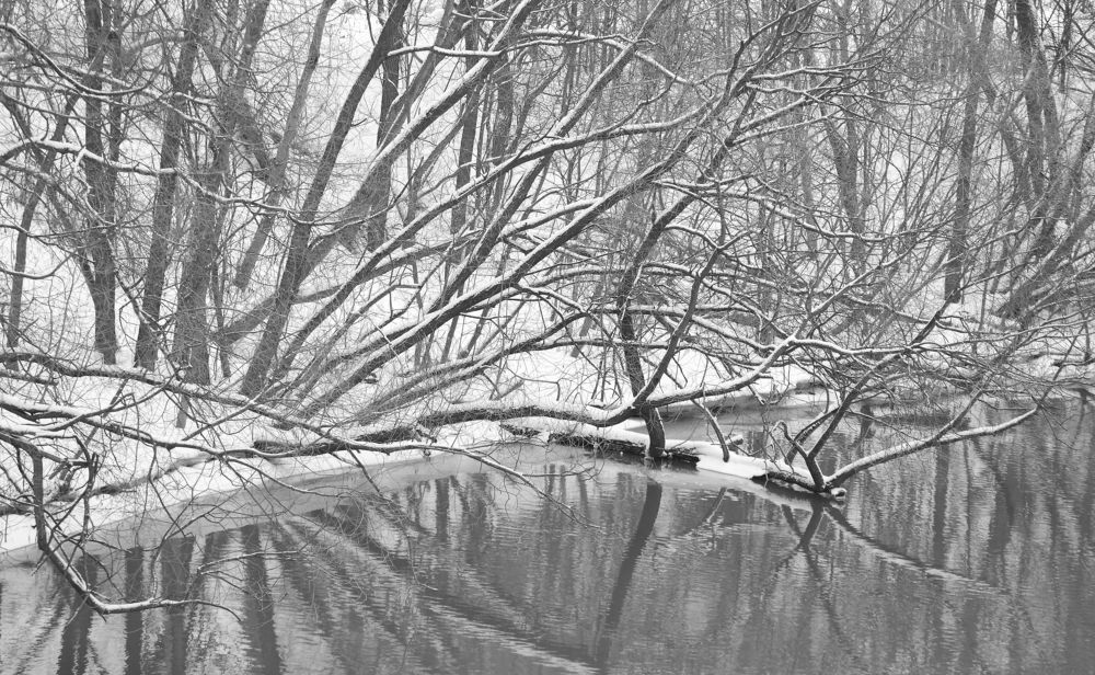 Photograph by Станислав Вершинин