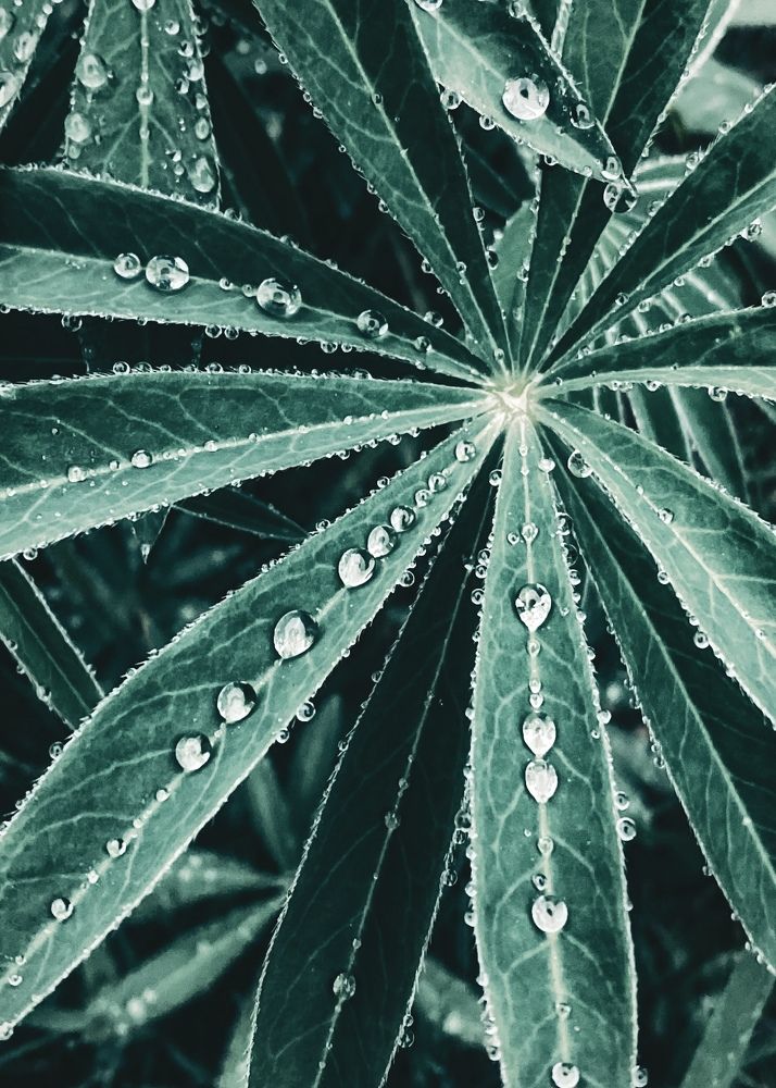 Photograph by Ольга Глазунова