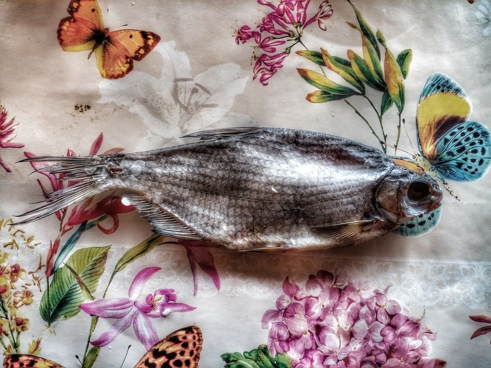 Photograph by Оксана Новосад