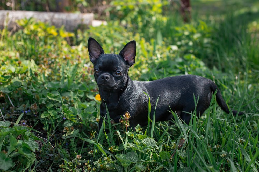 Photograph by Анопченко Ирина