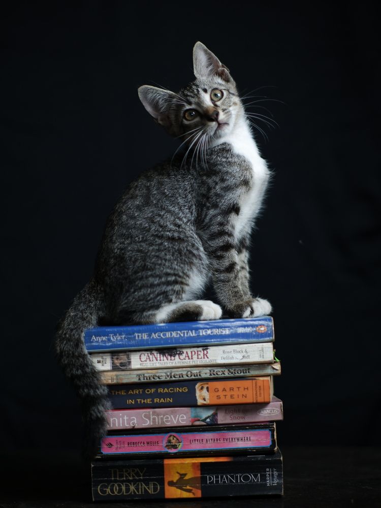 Фотография автора Zai R.