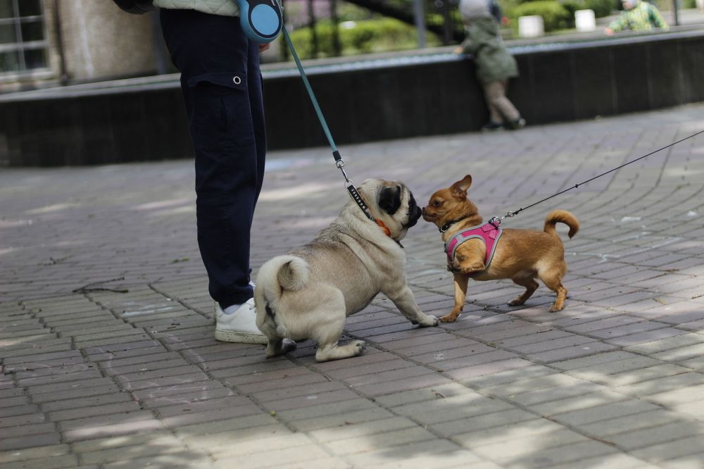 Photograph by Елена Кузнецова