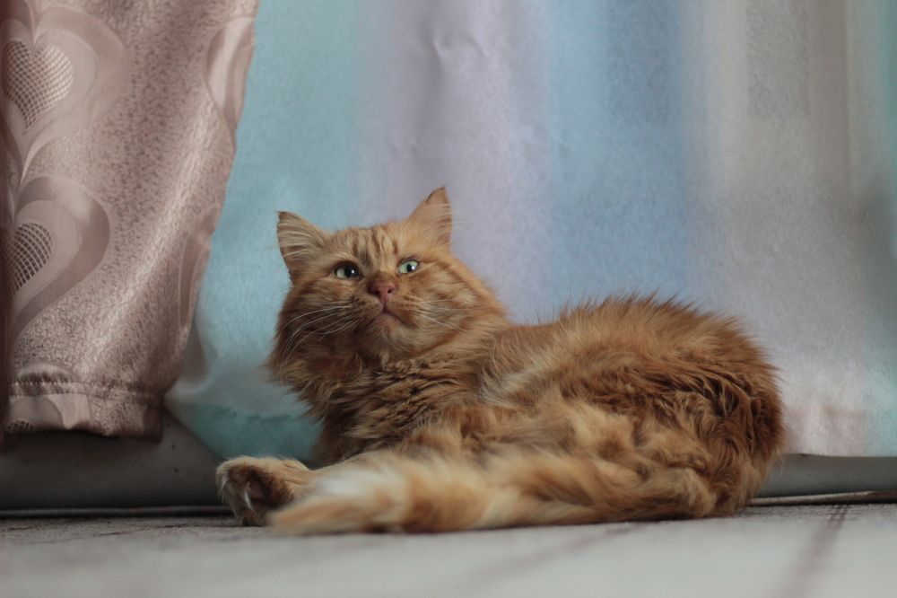 Photograph by Елена Кузнецова