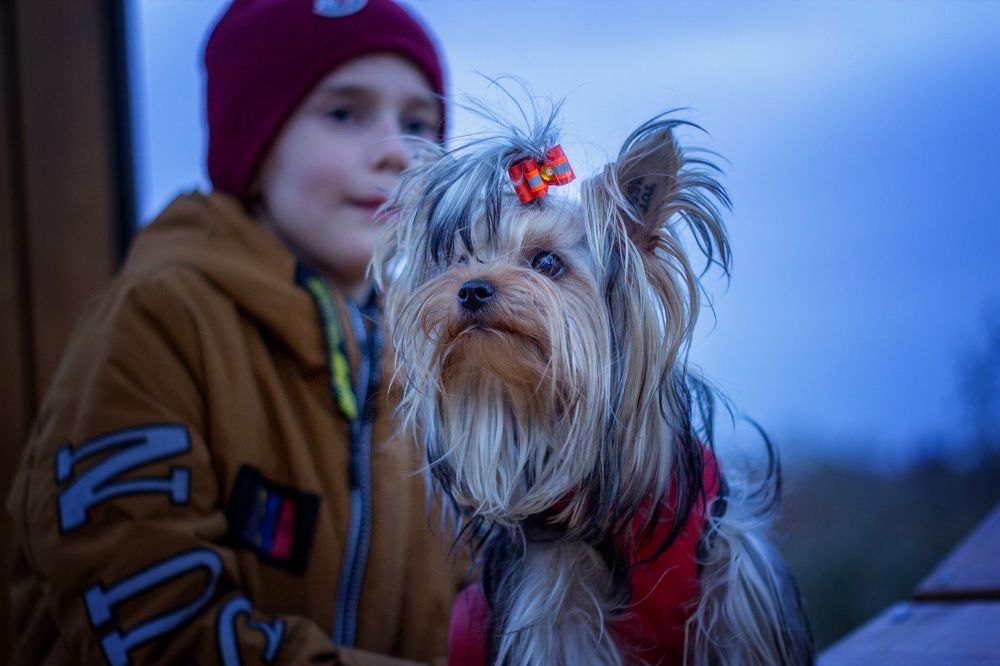 Photograph by Александр Канцур