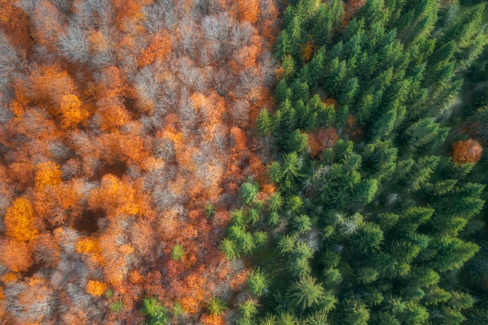 Photograph by  Ahmad abbasi