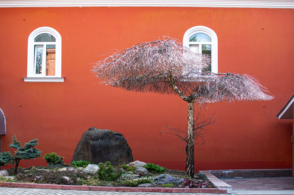 Photograph by Екатерина