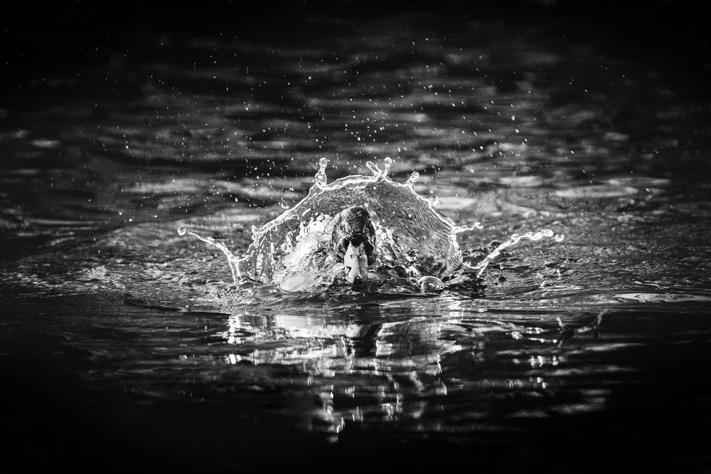 Photograph by Lucia Drietomska