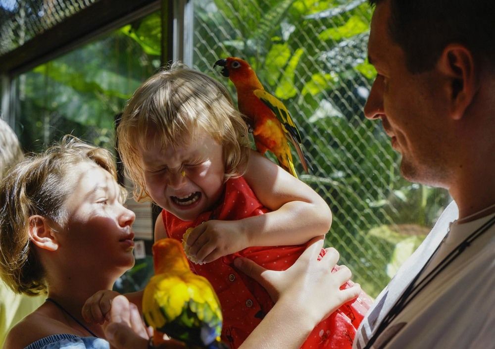 Фотография автора Татьяна Добровольская
