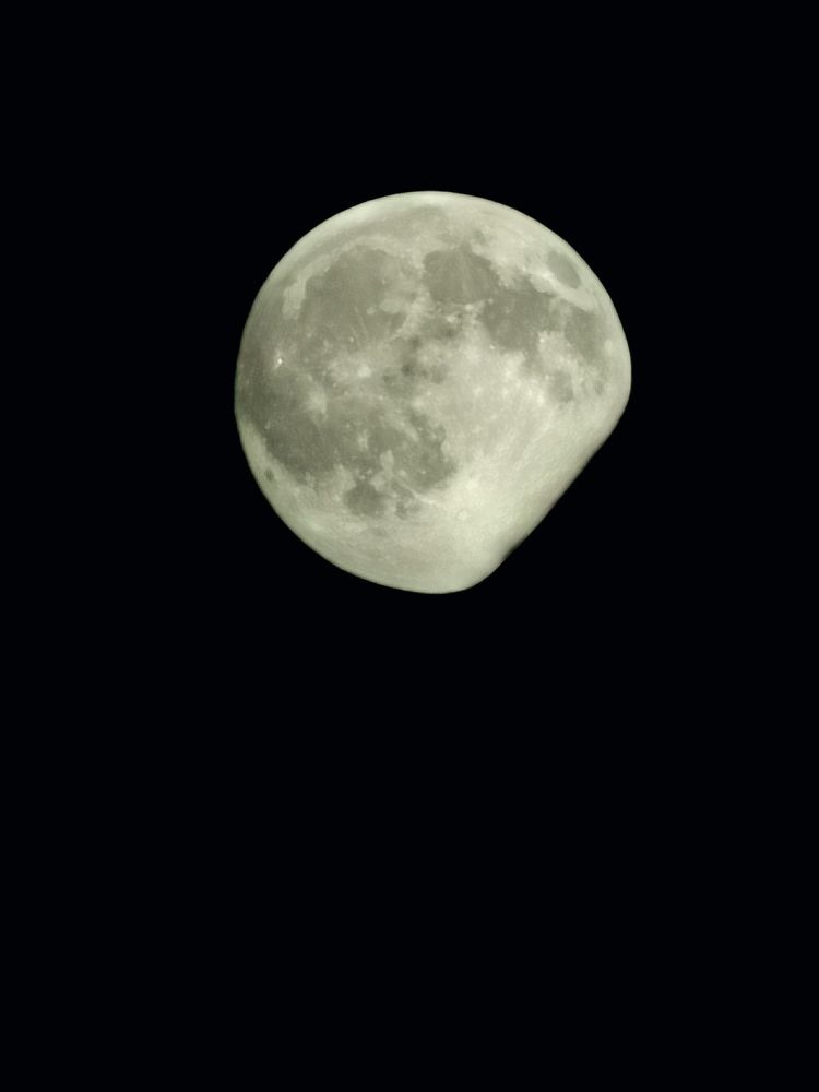 Photograph by Виолетта Юдина