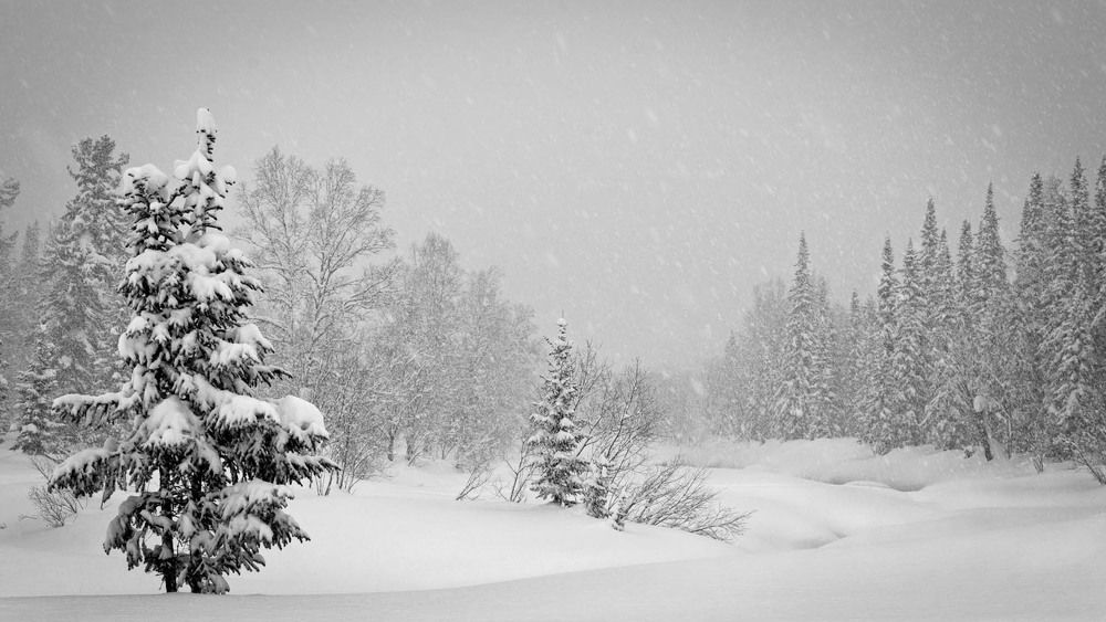 Фотография автора Татьяна Добровольская