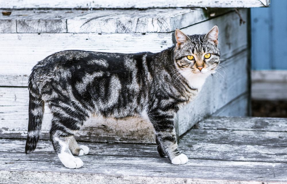 Photograph by Юлия Ковальчук