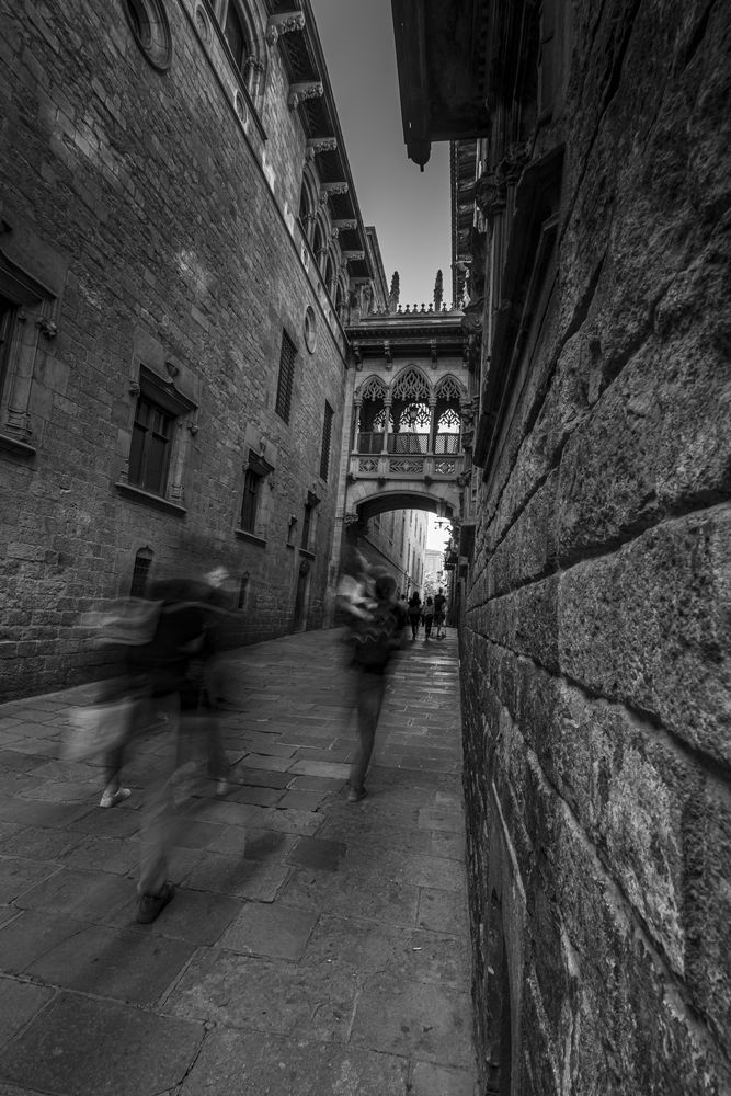 Photograph by Pouyan Safavi